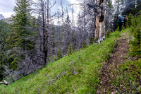 Hiking along Tyrrell Creek on the Tomahawk Pass trail.