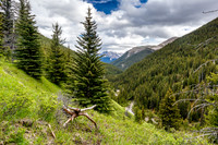 Hiking along Tyrrell Creek on the Tomahawk Pass trail.