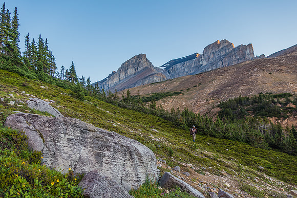 Nearing tree line.