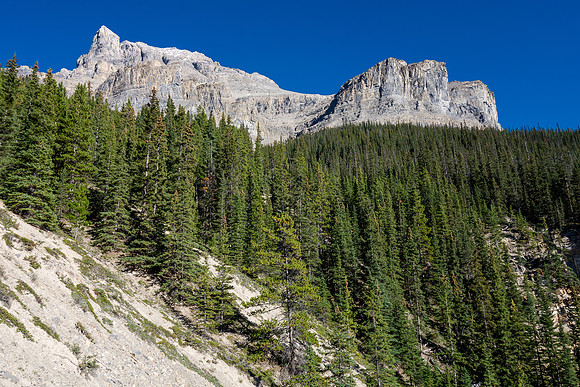 Mount Murchison looms over our approach along the N side of the creek. The amphitheater looks rather insignificant from here.