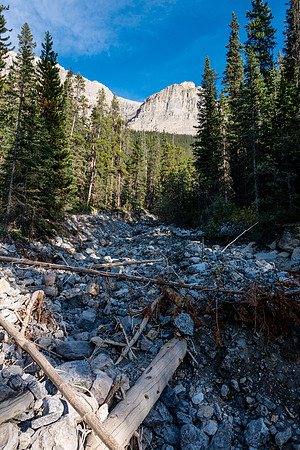 Now a distant memory, looking up at the amphitheater from the creek bed near the highway.