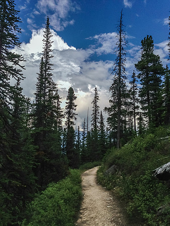 I was all alone on this final 5 or 6km stretch and with a thunderstorm booming in the background and hallucinations for company it was a bit spooky.