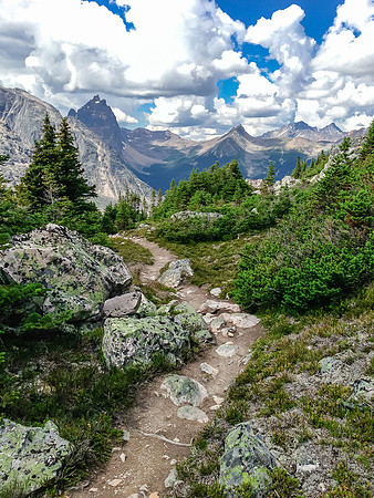 The Verdant Pass trail was in great shape considering it's decommissioned.