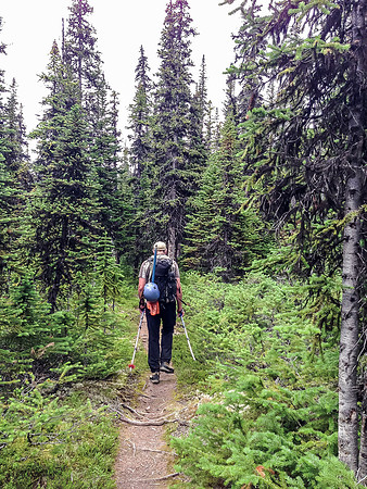 The Verdant Pass trail is easy to follow but was a bit overgrown in spots and hasn't been maintained recently.