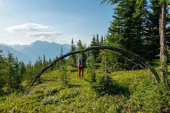 Hiking to Mount Fortune.
