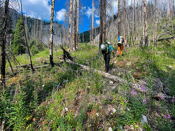 Bushwhacking up to the SE access gully towards Turbulent.