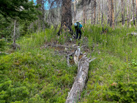 Bushwhacking up to the SE access gully towards Turbulent.