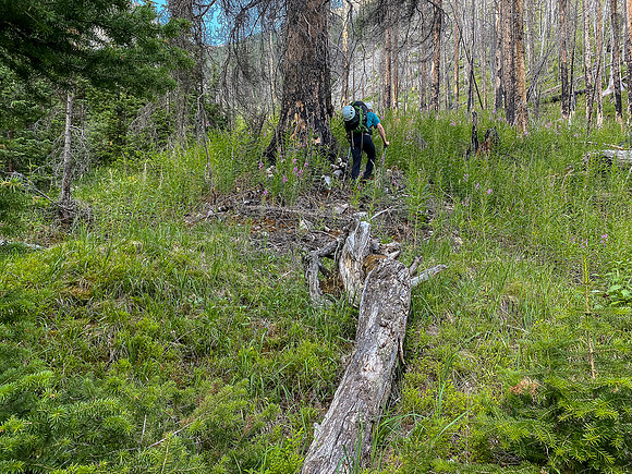 Bushwhacking up to the SE access gully towards Turbulent.