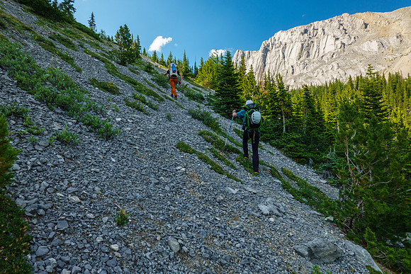 Avoiding the trees in the SE access drainage.