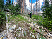 Bushwhacking up to the SE access gully towards Turbulent.
