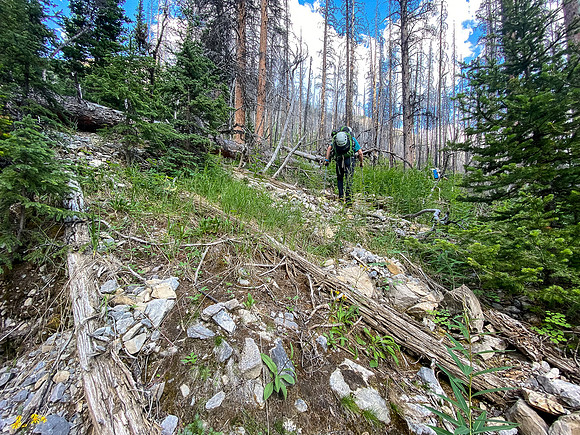 Bushwhacking up to the SE access gully towards Turbulent.