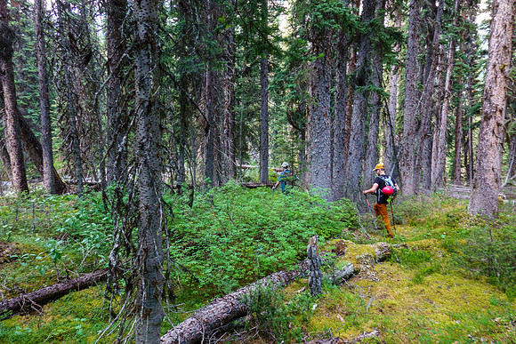 Bushwhacking up to the SE access gully towards Turbulent.