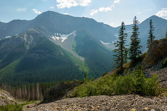 Views back across Turbulent Creek to Cone Mountain.