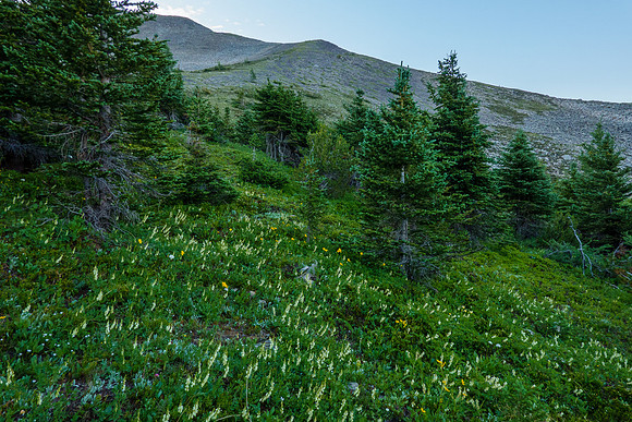 Hiking the ridge between Mount Turbulent and Fortune.