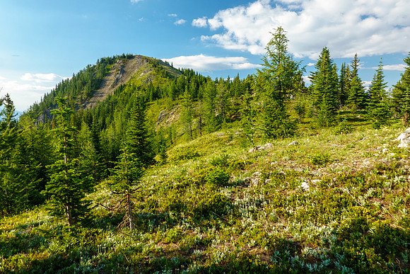 Hiking to Mount Fortune.
