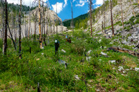Bushwhacking up to the SE access gully towards Turbulent.