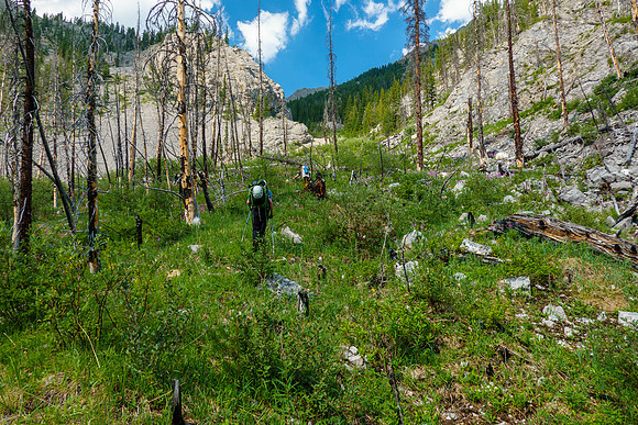 Bushwhacking up to the SE access gully towards Turbulent.