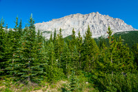 Bushwhacking towards the west avalanche gully.