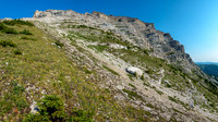 Views up the east face from the east avalanche access gully.
