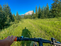 Biking the old logging road towards Gould Dome.