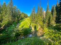 Biking the old logging road towards Gould Dome.