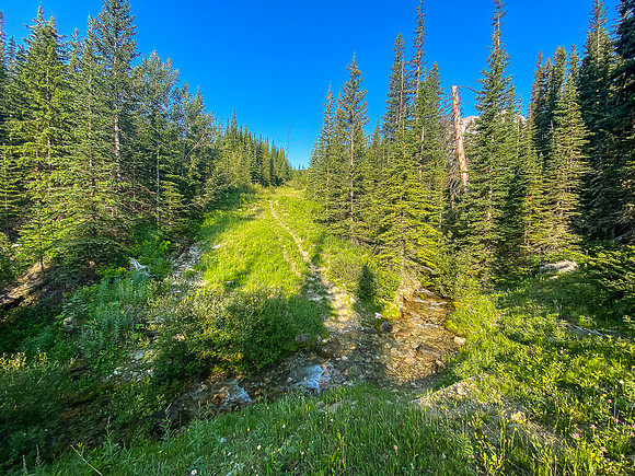 Biking the old logging road towards Gould Dome.