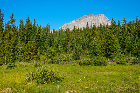 Gould Dome seen from the bike approach.
