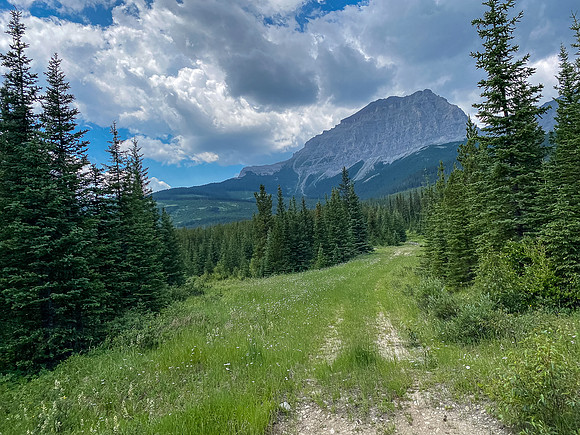 Back on the approach road / trail. Definitely should have ridden further.