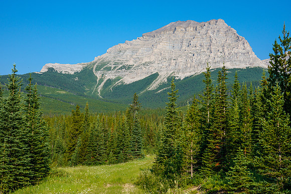 Gould Dome seen from the bike approach.