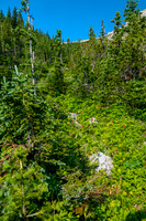 The lower east avalanche gully.