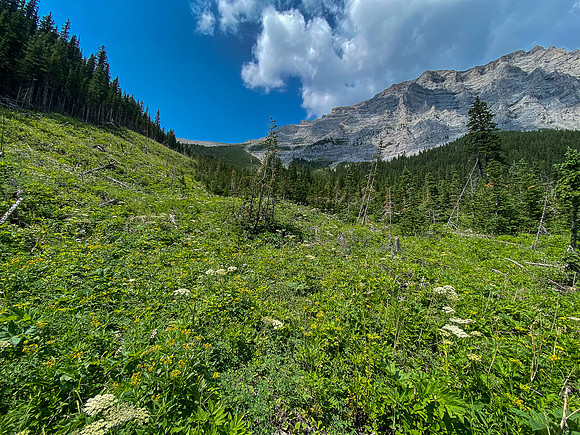 Looking up the avalanche patch to a distant east access gully and east face (R).