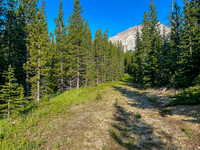 Biking the old logging road towards Gould Dome.