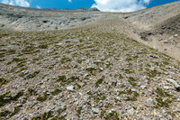 Mount Oliver (Click to Load Album)