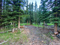 A large camp at the end of the bike ride up North Burnt Timber Creek.