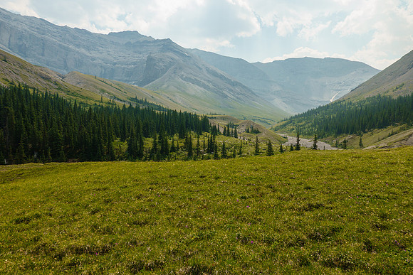 Hiking back along North Burnt Timber Creek.