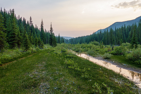 Smoky sunrise on North Burnt Timber Creek.