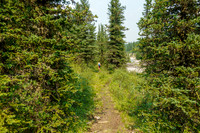 Hiking back along North Burnt Timber Creek.