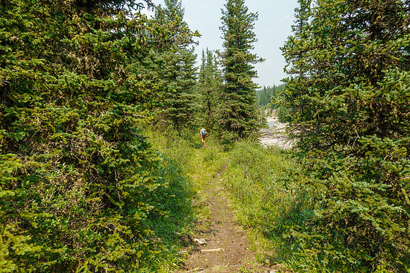 Hiking back along North Burnt Timber Creek.