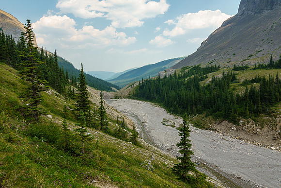 Hiking back along North Burnt Timber Creek.