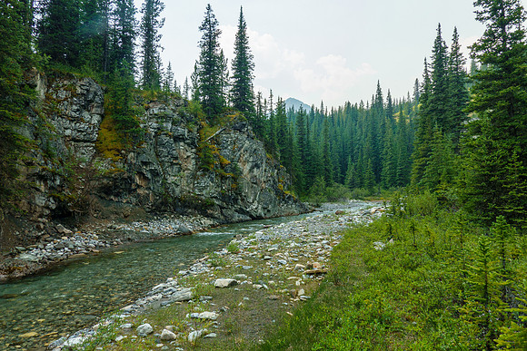 Hiking back along North Burnt Timber Creek.