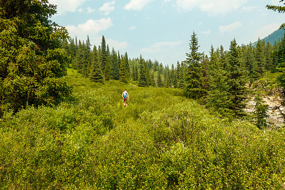 Hiking back along North Burnt Timber Creek.