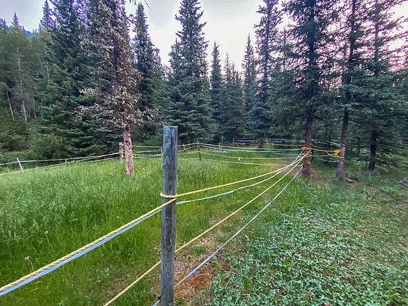 A large camp at the end of the bike ride up North Burnt Timber Creek.