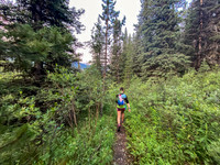 Following the trail up North Burnt Timber Creek.