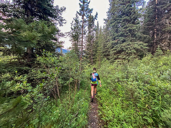 Following the trail up North Burnt Timber Creek.