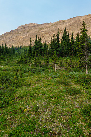 Looking up the NE ridge that we used to access the sidewalk abutment ridge.
