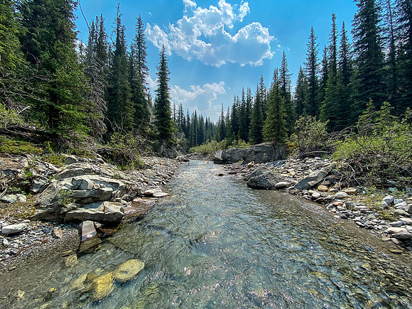 Hiking back along North Burnt Timber Creek.