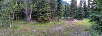 A large camp at the end of the bike ride up North Burnt Timber Creek.