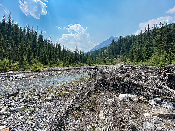 Hiking back along North Burnt Timber Creek.