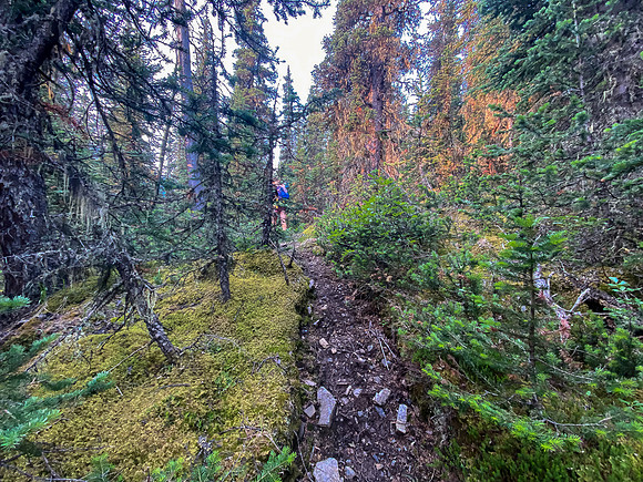Hiking up North Burnt Timber Creek.