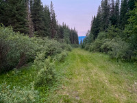 The road is in good shape above North Burnt Timber Creek.